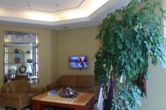 重庆碧莲盛植发医院价格表（价目表）怎么样，好不好